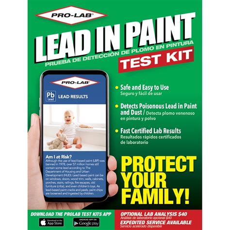 lead paint test kit walmart